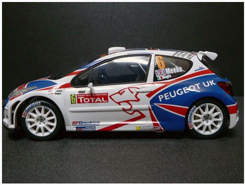 Peugeot 207 S2000 - 2009 Ypres Westhoek Rally Winner