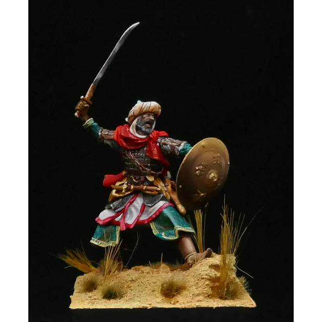 Saracen Warrior XI-XIV c.