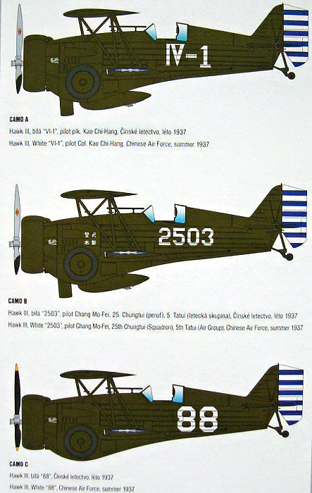 Model 68 - Hawk III "First Chinese Ace"