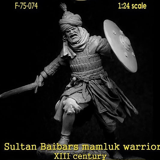 Sultan Baibars Mamluk Warrior, 13th century 