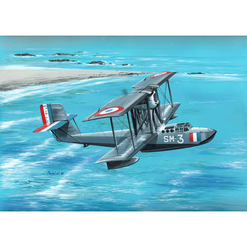 Potez 25 B2 Polish Jupiter - Against the Tide