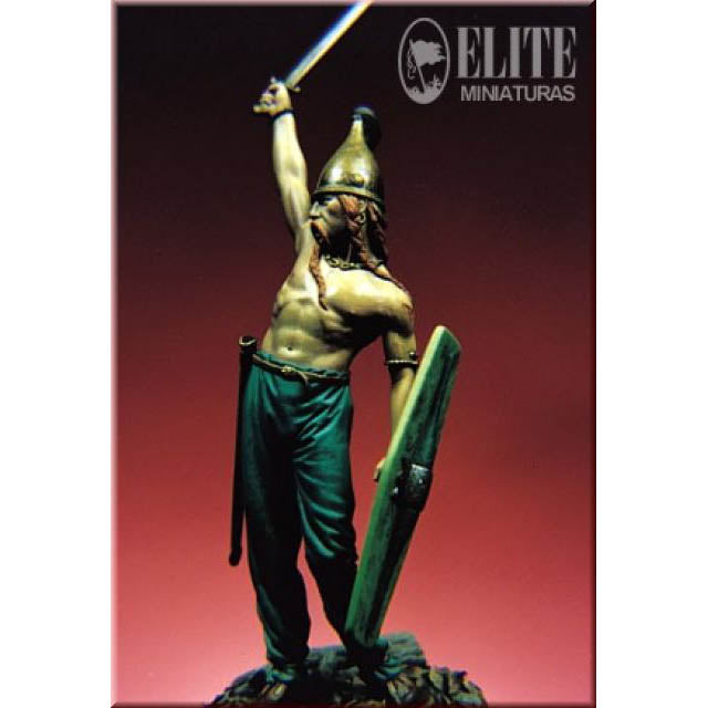 Celtic Warrior - 3rd Century B.C.