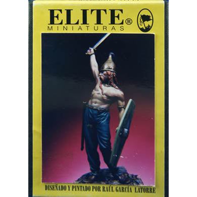 Celtic Warrior - 3rd Century B.C.