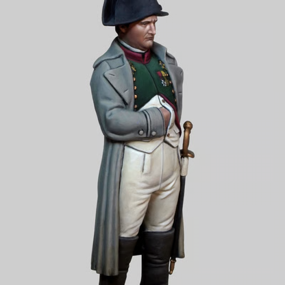 Napoleon - 1814 Campaign