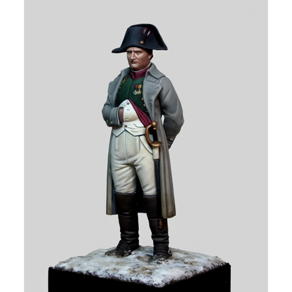 Napoleon - 1814 Campaign