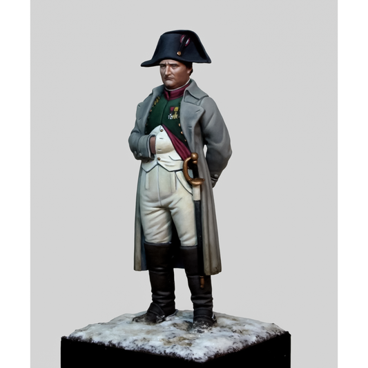 Napoleon - 1814 Campaign