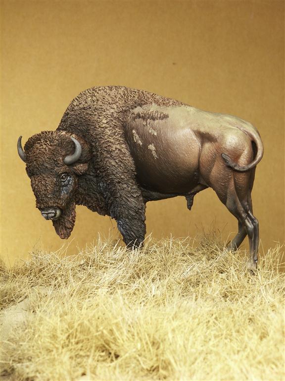 Buffalo - Accessories for Dioramas