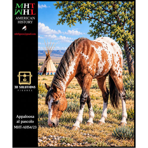 Appaloosa al Pascolo