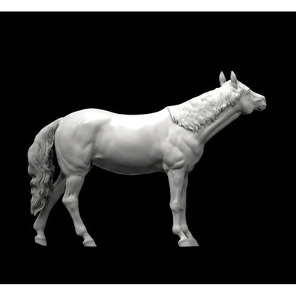 Appaloosa