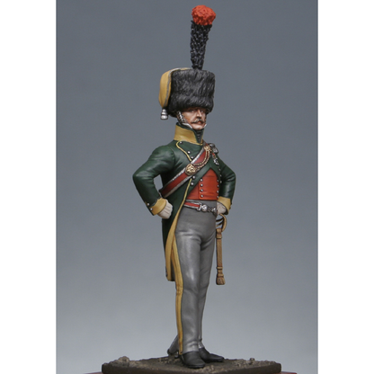Officer of chasseurs à cheval - 4ème rgt., 1809
