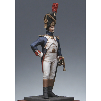 Officer of grenadiers on foot of the garde, 1809