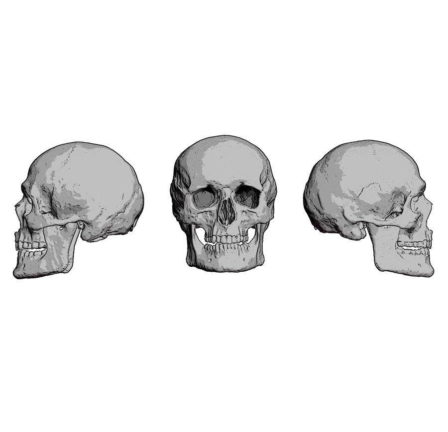 Skull Set 75 mm 