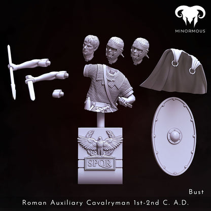 Roman Auxiliary Cavalry 1st-2nd Century AD 