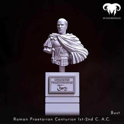 Roman Praetorian Centurion 1st-2nd Century A.D