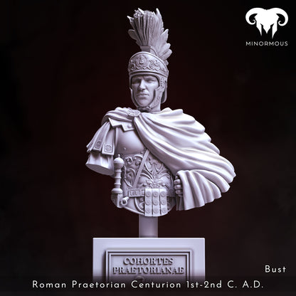 Roman Praetorian Centurion 1st-2nd Century AD 