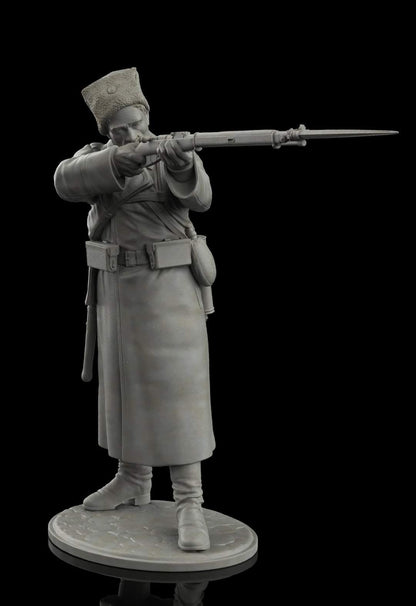 The Old Warrior 