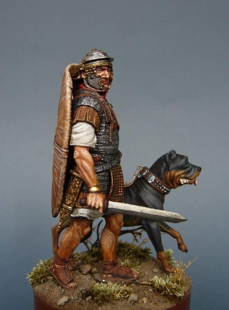 Roman War Dog - Britain AD 43