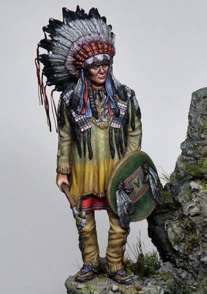 Sioux Warrior 19th Century 